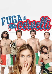 Fuga di cervelli streaming