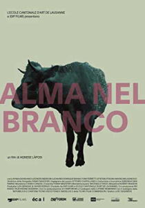 Alma nel Branco [CORTO] streaming