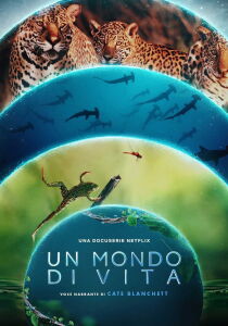 Un mondo di vita streaming