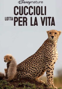 Cuccioli - Lotta per la vita streaming