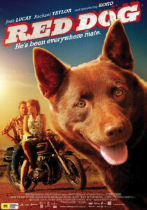 Red Dog streaming