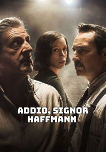 Addio Monsieur Haffmann streaming